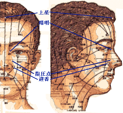 花粉症の顏のツボ